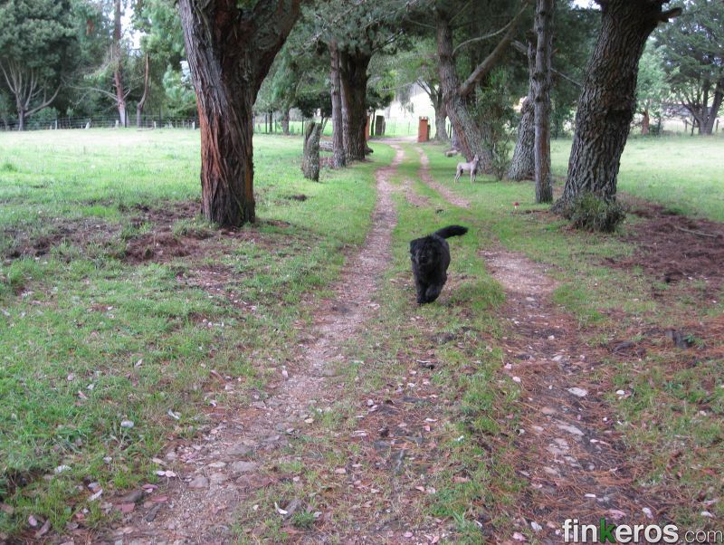 La Mejor Finca Guasca - Finca en Guasca, Cundinamarca